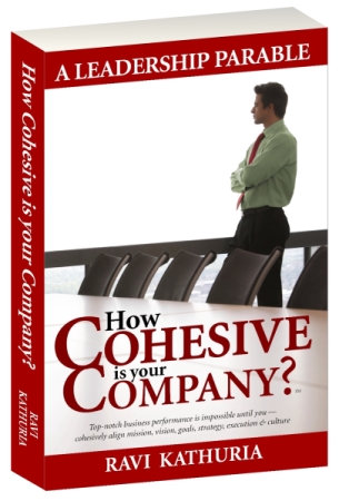Book - How Cohesive is Your Company?